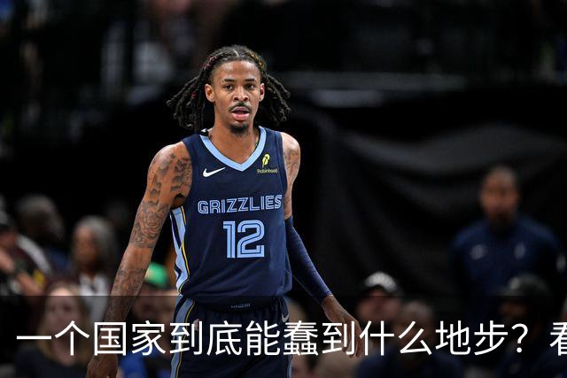 一个国家到底能蠢到什么地步？看看瑞典你就知道了，三十年前，瑞典的人均GDP高达3.2万美元，可以夜不闭户，如今到处都是难民