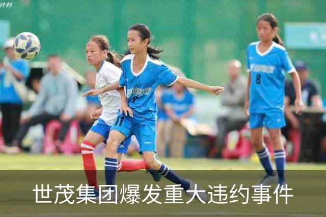 世茂集团爆发重大违约事件