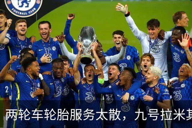 两轮车轮胎服务太散，九号拉米其林进店补课