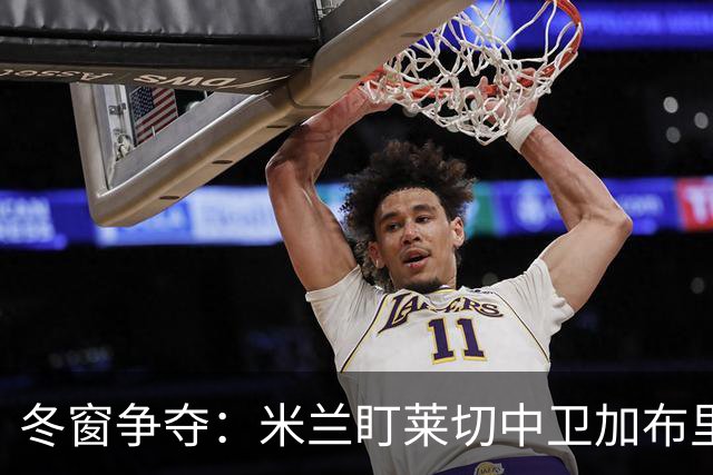 冬窗争夺：米兰盯莱切中卫加布里埃尔 埃弗顿水晶宫已询价
