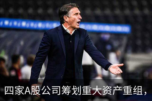 四家A股公司筹划重大资产重组，中国稀土、TCL中环将于下周一停牌