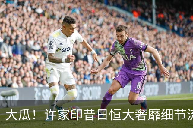 大瓜！许家印昔日恒大奢靡细节流出，丁玉梅海外包养30岁白人小伙