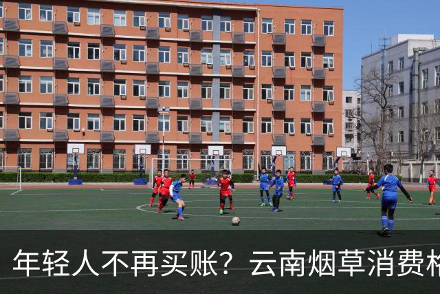 年轻人不再买账？云南烟草消费格局正在悄悄改变