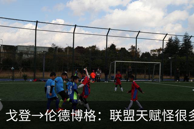 戈登→伦德博格：联盟天赋怪很多 防守是NBA立命之本 学会当绿叶