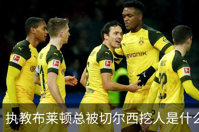 执教布莱顿总被切尔西挖人是什么感受？德泽尔比：你觉得呢？