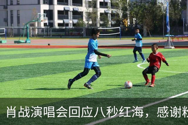 肖战演唱会回应八秒红海，感谢粉丝当年给他惊喜，双向奔赴实锤了