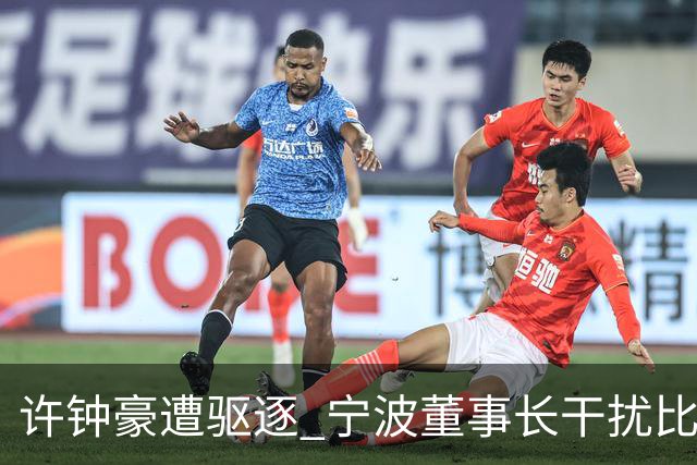 许钟豪遭驱逐 宁波董事长干扰比赛被停赛+罚款3万