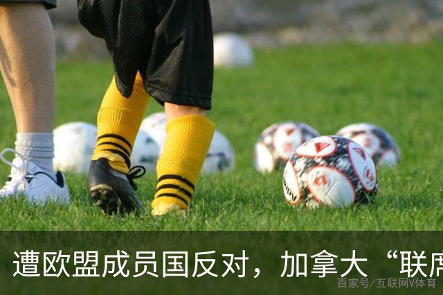 遭欧盟成员国反对，加拿大“联席成员”提议宣告失败，冯德莱恩被批想当“欧盟总统”