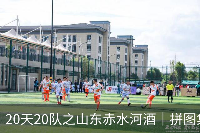 20天20队之山东赤水河酒｜拼图集齐 冲击冠军